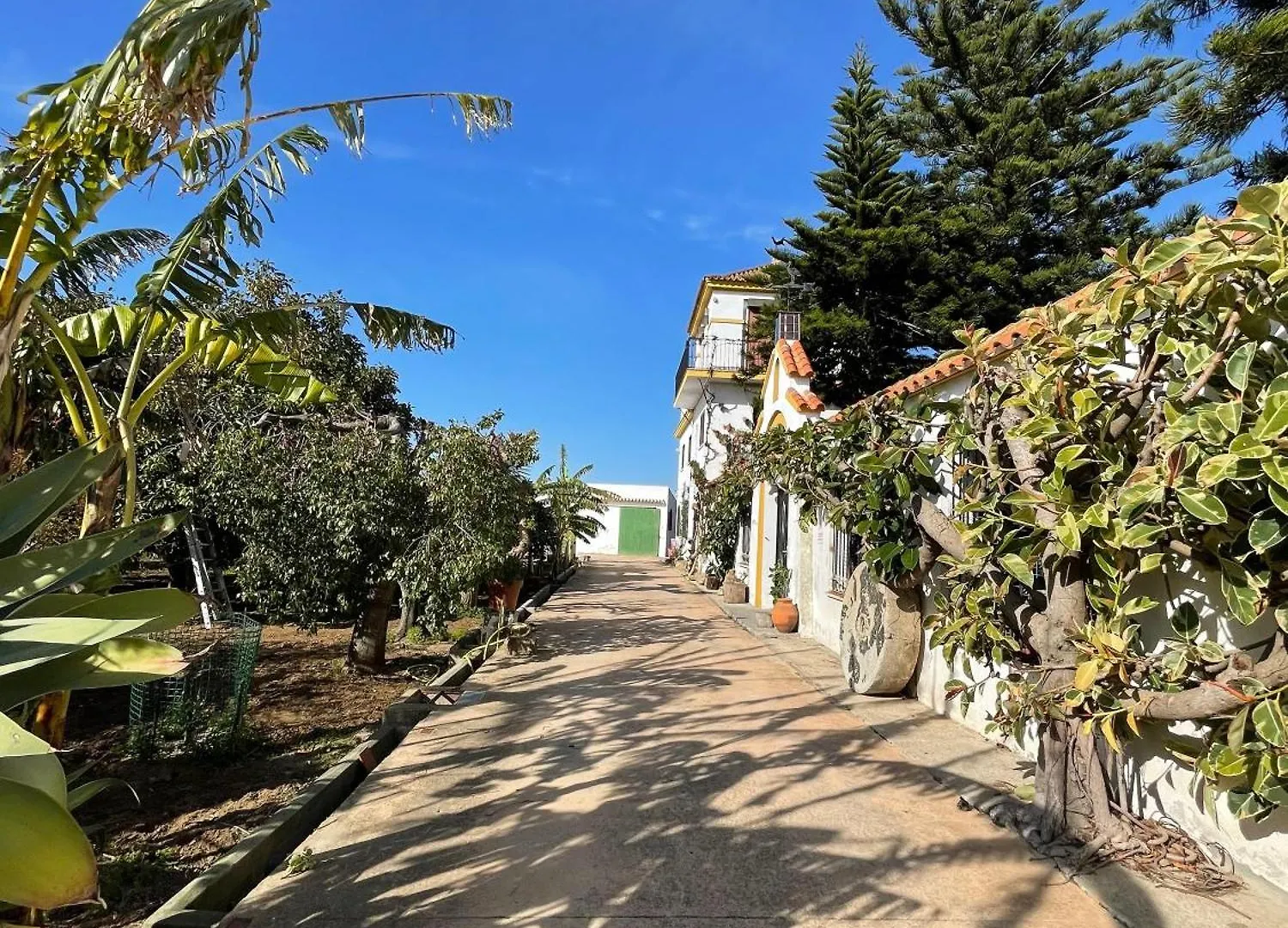 Finca La Tacita - Petunia Conil De La Frontera 0*,